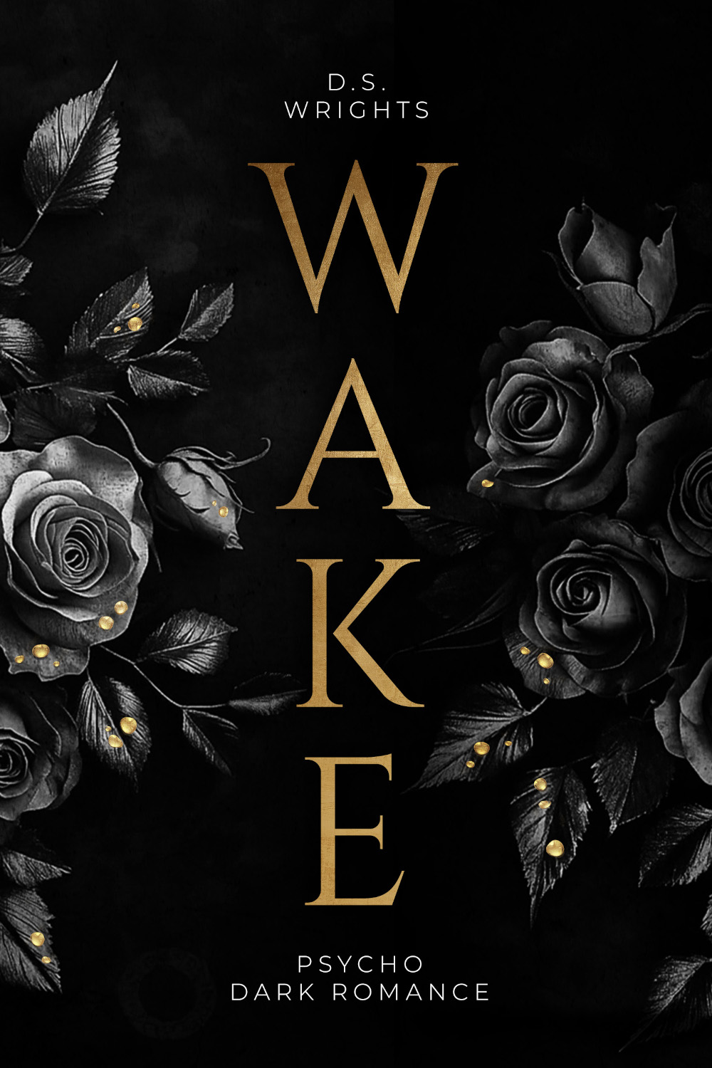 images/cover/Wake_D.S.Wrights_eBook_KDP.jpg#joomlaImage://local-images/cover/Wake_D.S.Wrights_eBook_KDP.jpg?width=1000&height=1500